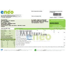 ENEO electricity fake business utility bill Word and PDF template