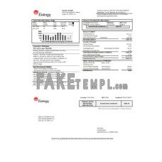 Entergy fake business utility bill Word and PDF template, 2 pages