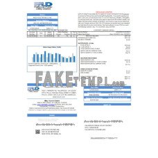 Fallbrook Public Utility District fake business utility bill Word and PDF template