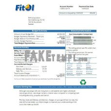 Fitol gas fake business utility bill Word and PDF template