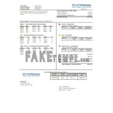 Florida City of Tallahassee Florida Your Own fake business utility bill Word and PDF template