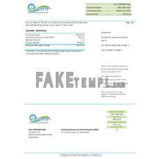 INDE Instituto Nacional De Electrificacion electricity fake business utility bill Word and PDF template