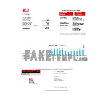 Kentucky electricity fake business utility bill Word and PDF template