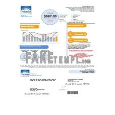 Lake Region Electric Cooperative fake business utility bill Word and PDF template