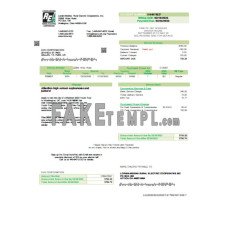 Lorain Medina Rural Electric fake business utility bill Word and PDF template