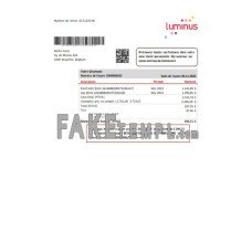 Luminus fake business utility bill Word and PDF template