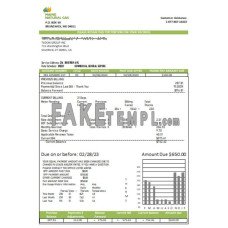 Maine Natural Gas Portland fake business utility bill Word and PDF template