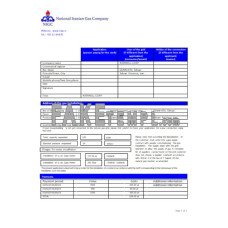 National Iranian Gas Company gas fake business utility bill Word and PDF template