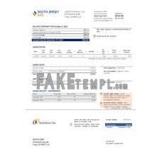 New Jersey Gas fake business utility bill Word and PDF template