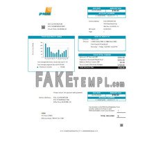 New Mexico PNM easy fillable fake business utility bill Word and PDF template