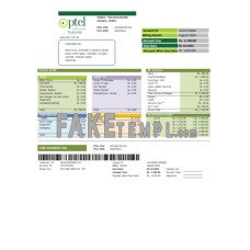 PTCL fake business utility bill Word and PDF template