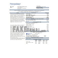 Potomac Edison fake business utility bill Word and PDF template, 2 pages