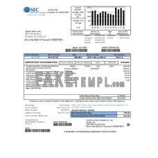 Santee Electric Cooperative Inc (SEC) fake business utility bill Word and PDF template