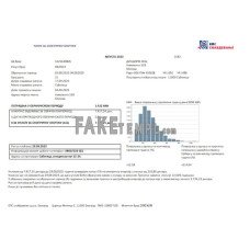 Serbia electricity fake business utility bill Word and PDF template