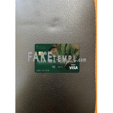 Angola Comercial Bank fake Visa photolook photoshop template PSD