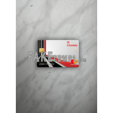 Lithuania (Litva) Citadele bank fake Mastercard card photolook template PSD