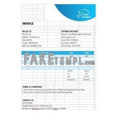 Airlines Aviation Services fake Invoice Word and PDF template