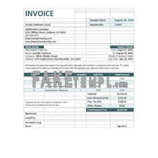 Cleaning Company fake Invoice Word and PDF template