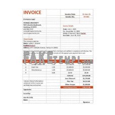 College Tuition fake Invoice Word and PDF template