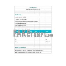 Editable Spa fake Invoice Word and PDF template