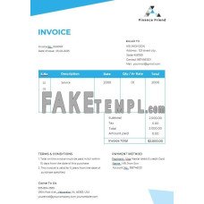 Finance Consultant fake Invoice Word and PDF template