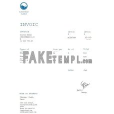 Free Laundry fake Invoice Word and PDF template