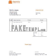 Gaming Company fake Invoice Word and PDF template