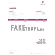 Music Festival fake Invoice Word and PDF template