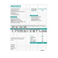 Professional Agency fake Invoice Word and PDF template