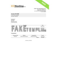 UAE Cyber Cast International fake Invoice Word and PDF template