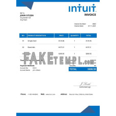 USA Intuit fake Invoice Word and PDF template