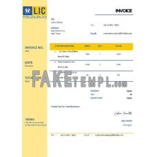 USA LIC fake Invoice Word and PDF template