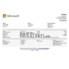 USA Microsoft fake Invoice Word and PDF template