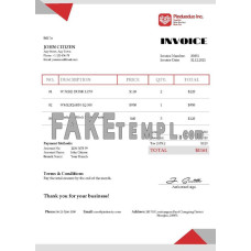 USA Pinduoduo fake Invoice Word and PDF template