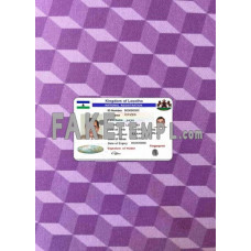 Lesotho fake national registration photoshop template PSD scan and photo-realistic look