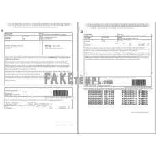 USA Form I-797B, Notice of Action fake Word and PDF template (2 pages)