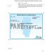 USA Illinois Business Authorization fake certificate of registration PSD template, 2 pages