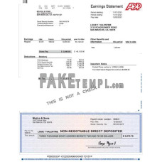 ADP fake earnings statement Word and PDF template