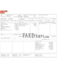 AM NS India fake pay stub Word and PDF template