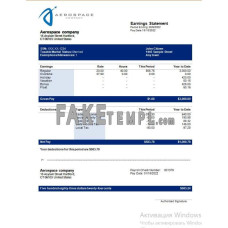 Aerospace fake company earning Word and PDF template