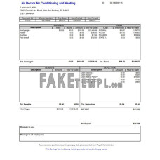 Air Doctor fake pay stub Word and PDF template