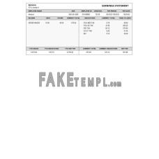 AMAZON fake earnings statement Word and PDF template