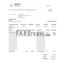 Apple inc fake pay stub Word and PDF template