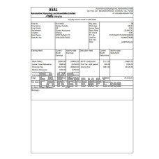 Automotive Stampings and AssembliesLimited fake pay stub Word and PDF template