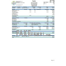 BAYER fake pay stub Word and PDF template