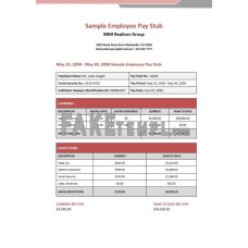 BBM realtors group employee fake pay stub Word and PDF template