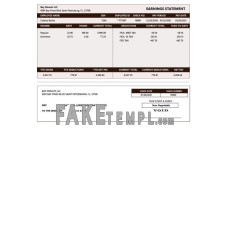 BAY DONUTS LLC fake earnings statement Word and PDF template