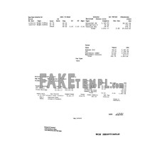 BEE-CLEAN Industrial Ltd. fake pay stub Word and PDF template