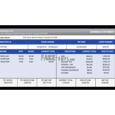 CANADA BANKAPP LLC fake earning statement Excel and PDF template