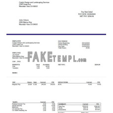 CRAIG'S Design and Landscapin Services fake pay stub Word and PDF template